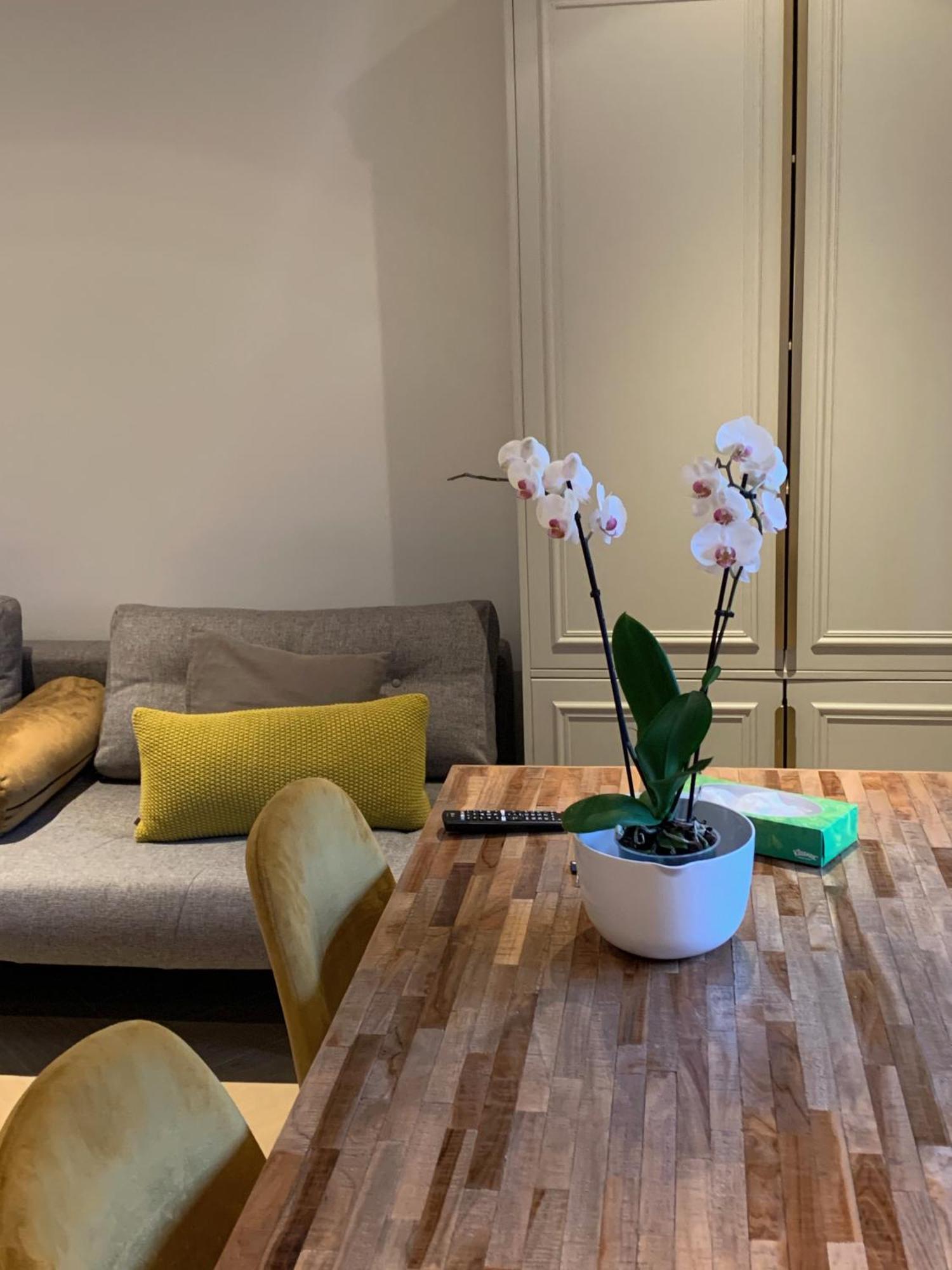 B&B Florapark Haarlem Eksteriør bilde